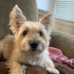 Meet your Posher, David